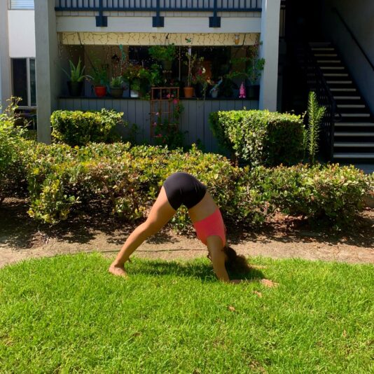 8F63D90F-00F0-4BB1-AA37-D79AFF85999F