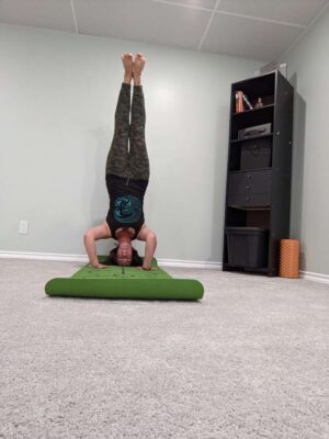 113f83e5-aa55-4811-b8d6-56aaa2b3f22d