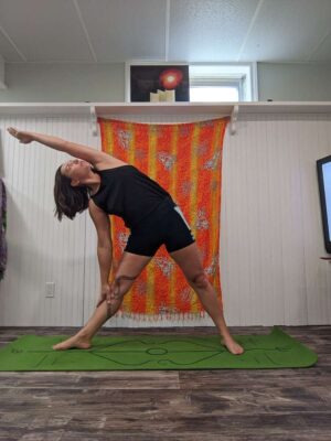 b7e6f975-a7d2-47b1-a190-419c1d372cce