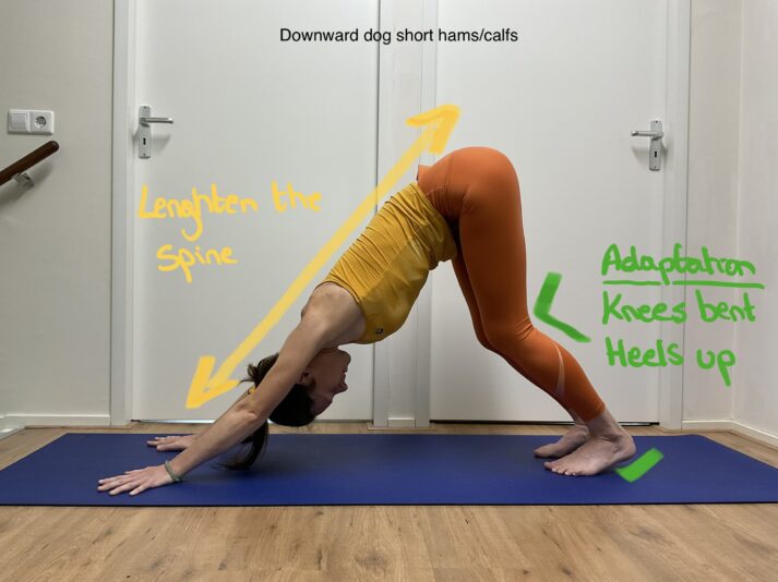 Downward dog short hams: calfs