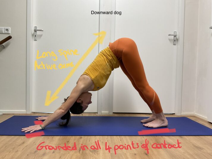 Downward dog