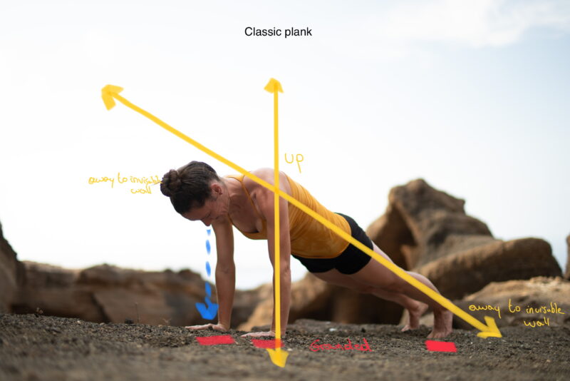 Classic Plank