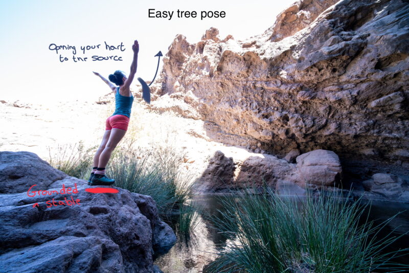 Easy tree pose