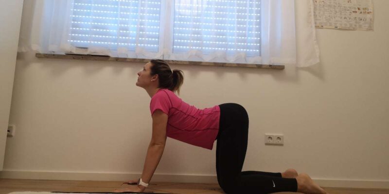 1a543d3e-7f3c-4d90-94f4-f01c2e98ac1a