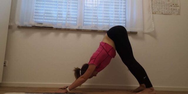 03010a2b-c97e-4751-909c-ae2359a5200c