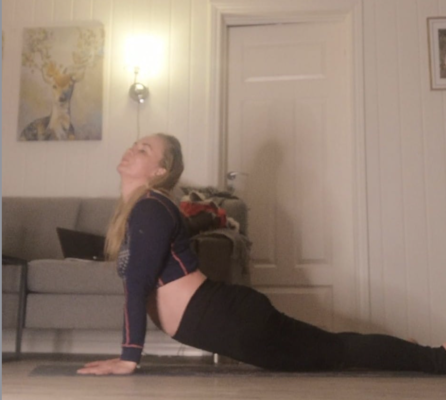 Skjermbilde 2022-01-11 kl. 23.30.44