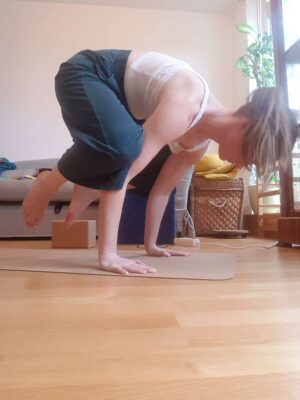 7426d6ed-3a51-414c-86cf-b80ee11298b8