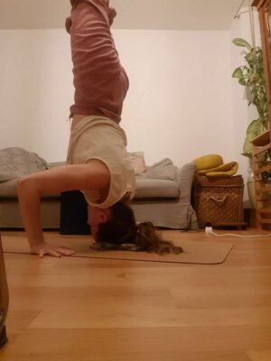 a8590c29-fce6-45c5-a3c7-13156ee68b1e