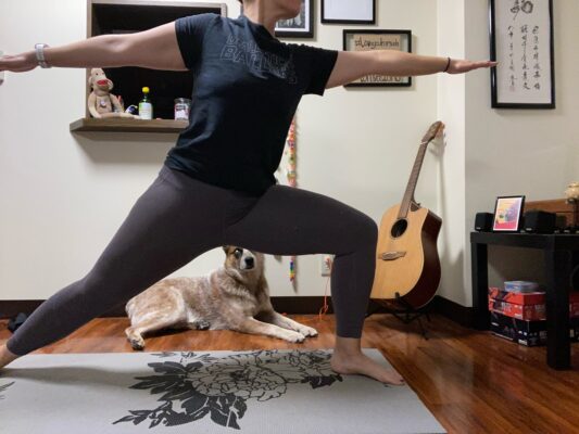 13FDAB9A-4072-4446-A0BC-9B47F760173A