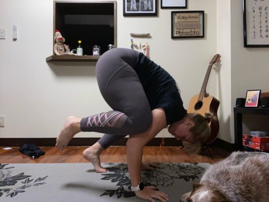 18D595D9-709E-4D9D-A347-A012684523DF