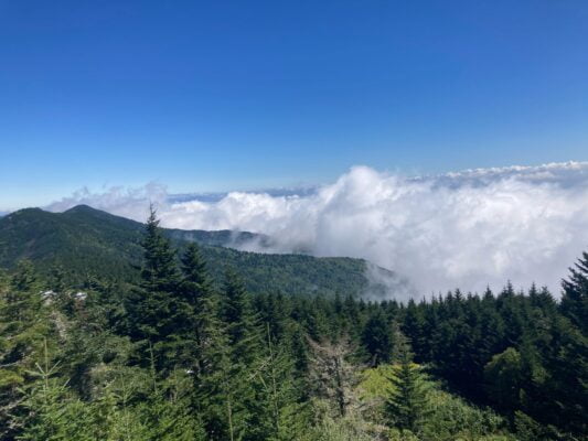 4A72C087-E48A-4C38-ADA4-917925778E54