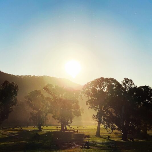 68D8B7B2-B291-4A12-8511-6DCFDA23D5D6