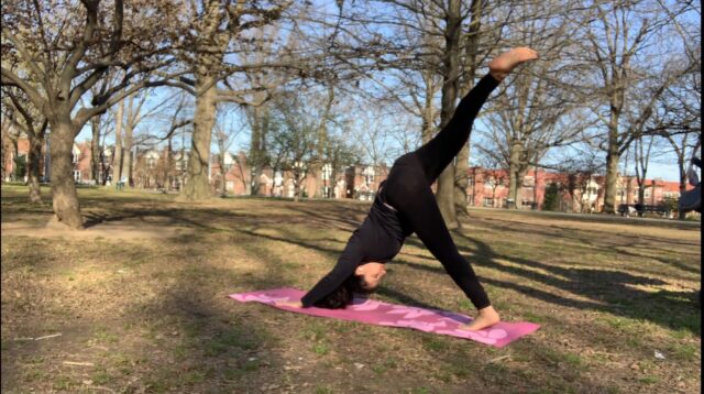 5C4215FF-4CD1-4289-B5D4-5E4D533668B4